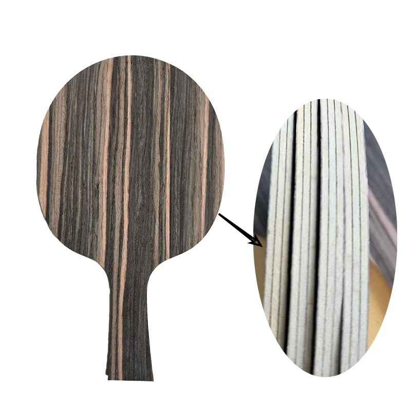 DIY FL/CS Tischtennisschläger  – Table Tennis Basic Bewertung und Preis