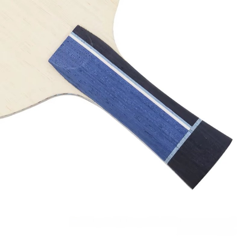 1 Stück Blaues Carbonfaser-Tis – Table Tennis Usa Bewertung und Preis