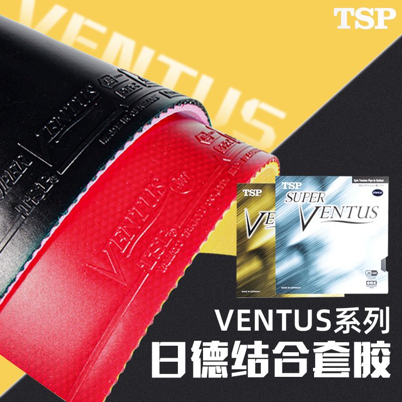 VICTAS VENTUS BASIC Tischtenni – Table Tennis Basic Bewertung und Preis